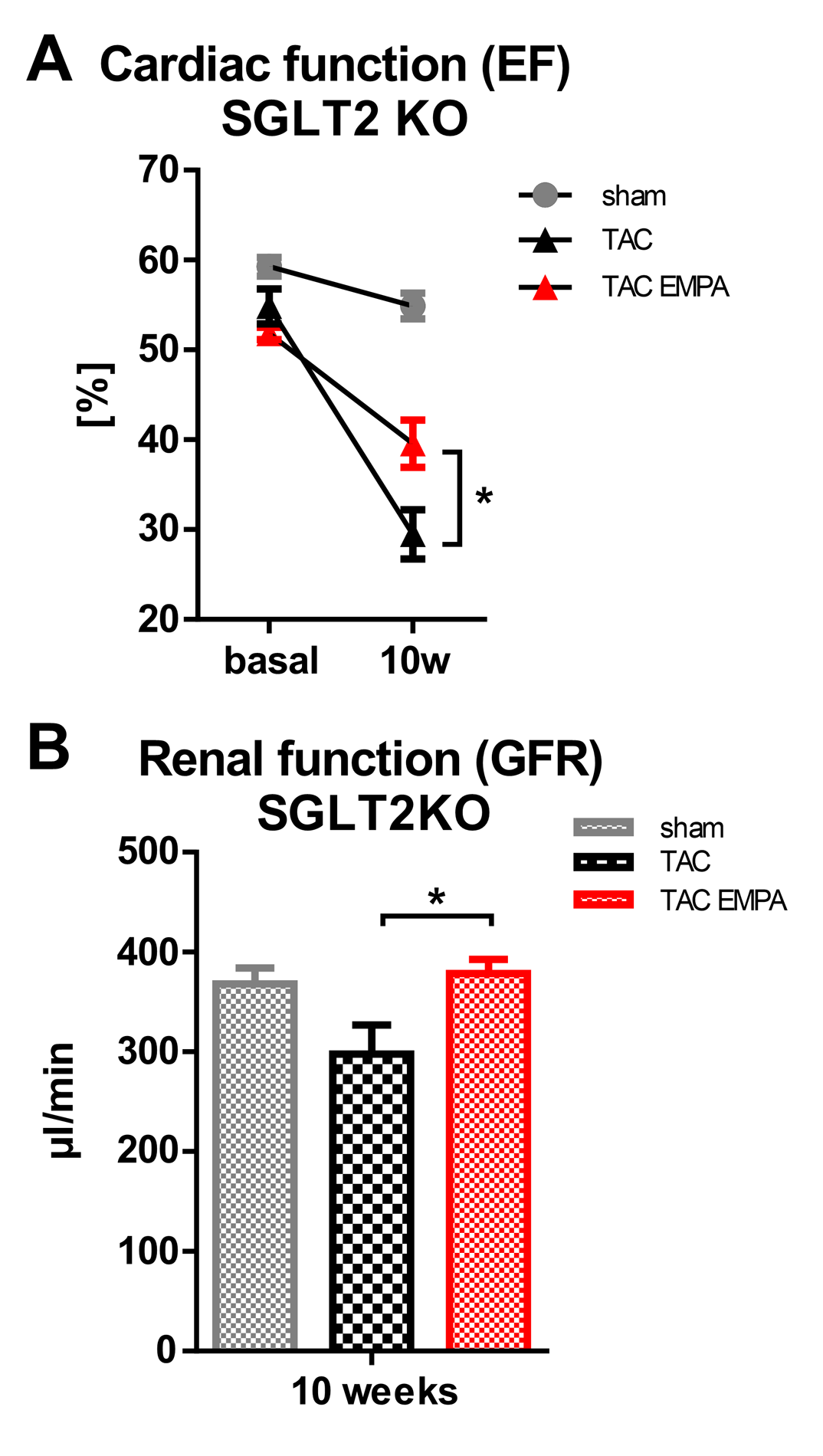 Empagliflozin protects SGLT2 KO animals from TAC-induced (A) reduction of left ventricular ejection fraction (EF) and renal GFR decline (B)