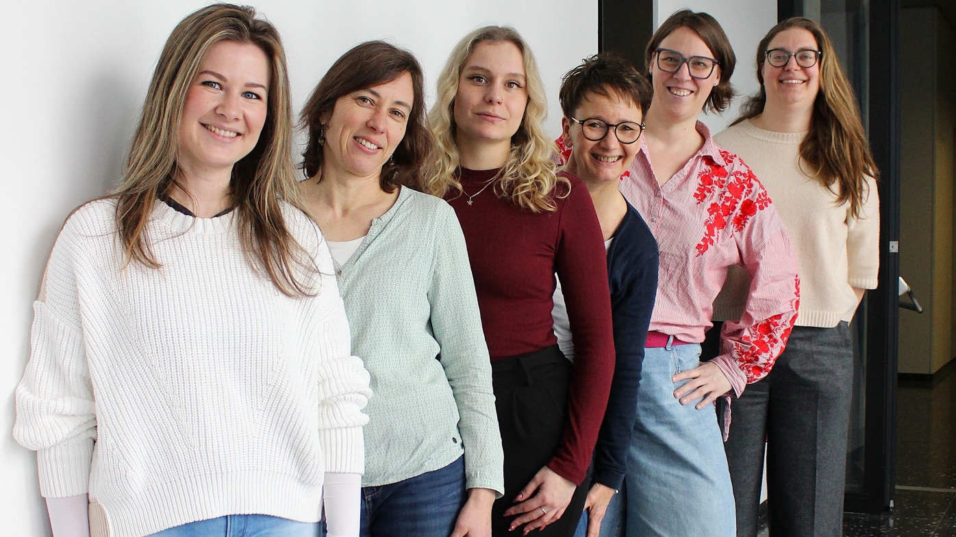 Projekt B01: Team